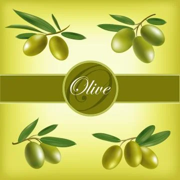 Vector set of olive branches Stock Illustration