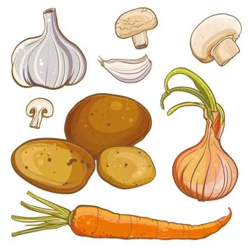 Vector set with onion, carrot, potatoes, garlic, mushrooms Stock Illustration