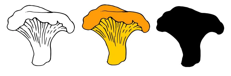 Vector set of orange-colored edible chanterelle mushrooms with a black outline Stock Illustration