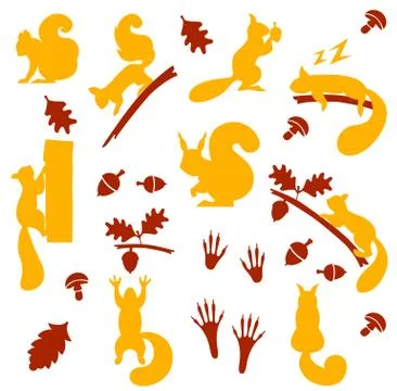 Vector set of orange furry squirrels with nuts isolated on white background Stock Illustration