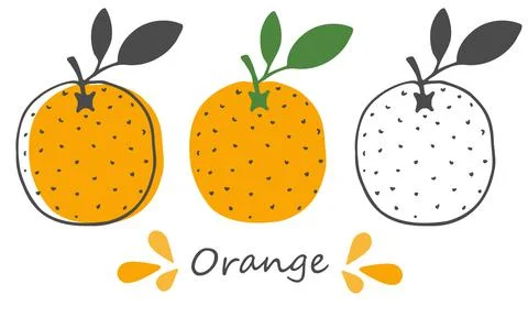 Vector set orange. Hand-drawn design. Fruits on white background Stock Illustration