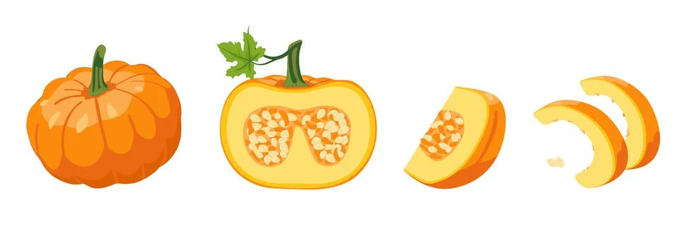 Vector set of orange pumpkins isolated on a white horizontal background Stock Illustration