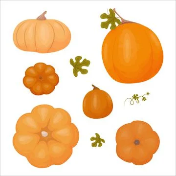 Vector set of orange pumpkins isolated on a white background. Stock-Illustration