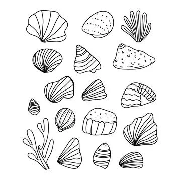 Vector set of outline sea shells drawn in minimal line art style. Hand-draw.. Stock Illustration