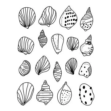 Vector set of outline sea shells drawn in minimal line art style. Hand-draw.. Stock Illustration