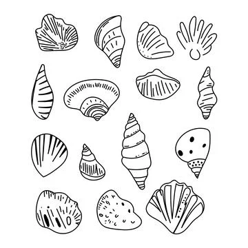 Vector set of outline sea shells drawn in minimal line art style. Hand-draw.. Stock Illustration