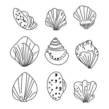 Vector set of outline sea shells drawn in minimal line art style. Hand-draw.. Stock Illustration