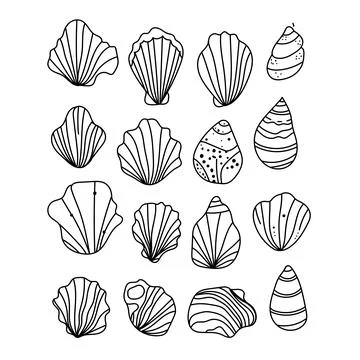 Vector set of outline sea shells drawn in minimal line art style. Hand-draw.. Stock Illustration