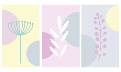 Vector set of packaging, floral design templates. Stock Illustration