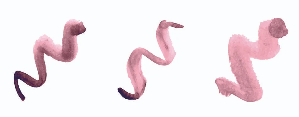 Vector set of paint brush strokes in random shapes Ilustración de archivo