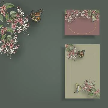 Vector set of painted flowers Rangoon Creeper with butterflies for greeting c Stock Illustration