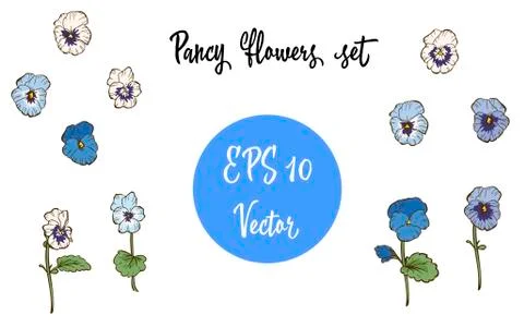 Vector set of Pansy Flowers and Leaves isolated on white background Stock Illustration