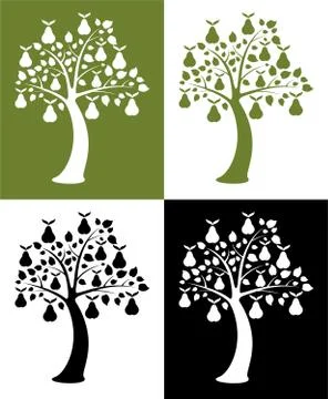 Vector set of pear trees Stock Illustration