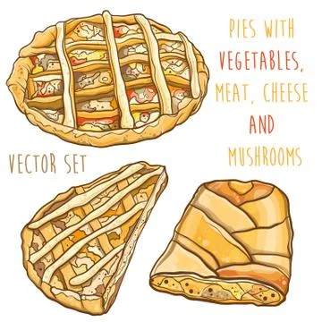 Vector set with pies with vegetables, meat, cheese and mushrooms Stock Illustration