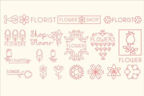 Vector set of pink natural elements leaves and flowers . Simple linear ornaments Stock Illustration