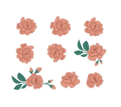 Vector set of pink roses petals isolated on white. Roses clipart Stock Illustration