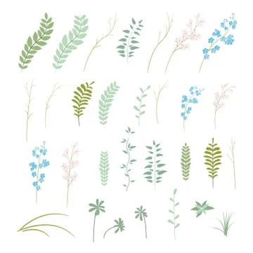 Vector set of plants, flowers and herbs Stock Illustration