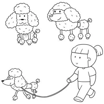 Vector set of poodle Stock Illustration