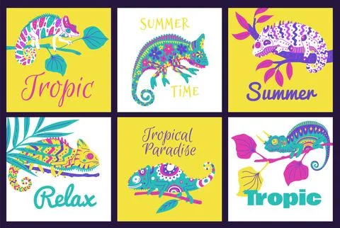 Vector set of posters with cute colorful chameleons text on a white and yellow Stock Illustration