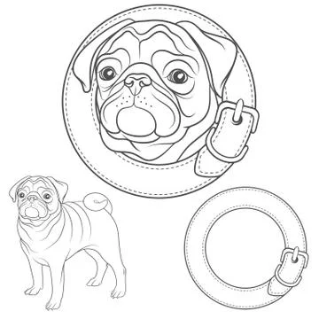 Vector set of pug images in the collar. Stock Illustration