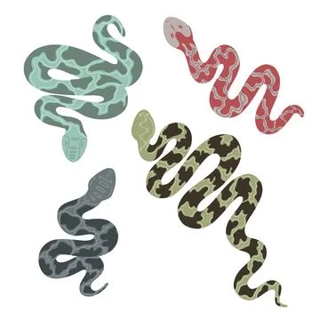 Vector set of python. Isolated tropical snakes Stock Illustration
