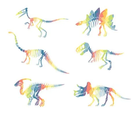 Vector set with rainbow dinosaur skeleton isolated on a white background. Stock Illustration