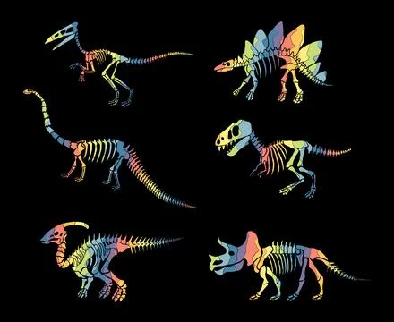 Vector set with rainbow dinosaur skeleton isolated on a black background. Stock Illustration