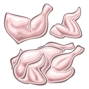 Vector set of raw Chicken Meat Illustrazione stock