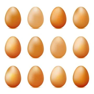 Vector set of realistic eggs isolated on white background Stock Illustration