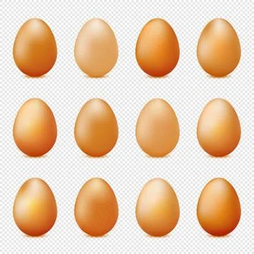 Vector set of realistic eggs on transparent background Stock Illustration