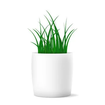 Vector set of realistic isolated white of green grass on white background. Stock Illustration