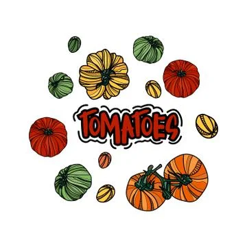 Vector set with red, green, yellow and orange tomatoes. Stock Illustration