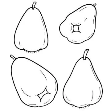 Vector set of rose apple Stock Illustration