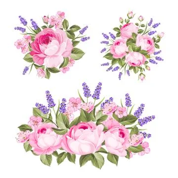 Vector set of rose, lavender bouquets for your design. Spring wedding romantic Stock Illustration