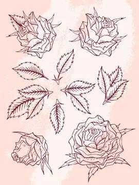 Vector set of roses and leaves. Burgundy contour. Stock Illustration
