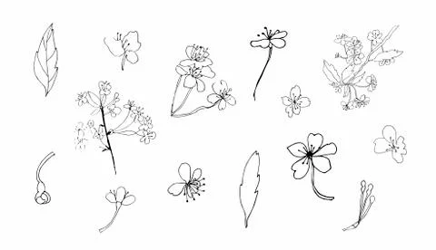 Vector set sakura clipart. Black spring illustration flowers line art Stock Illustration
