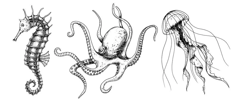 Vector set with Sea Animals. Hand drawn sketch of Seahorse, Jellyfish and Stock Illustration