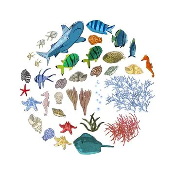 Vector set of sea animals - shark, tropical fish, corals, seahorses, seashell Stock Illustration