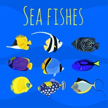 Vector set of sea exotic ocean tropical colorful fishes. Stock Illustration