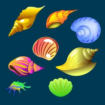 Vector set of sea shell on the dark background isolated Stock Illustration