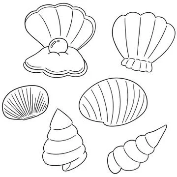 Vector set of sea shell イラスト素材