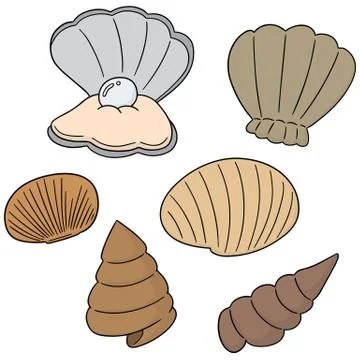 Vector set of sea shell Stock Illustration