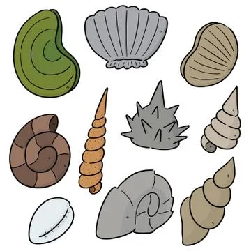 Vector set of sea shell Illustrazione stock