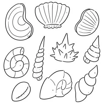 Vector set of sea shell Stock Illustration