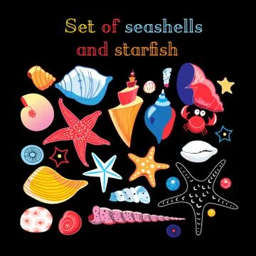 Vector set of sea shells and starfis Illustrazione stock