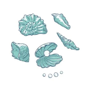 Vector set sea shells and pearls different shapes. Clamshells monochrome outline Stock-Illustration