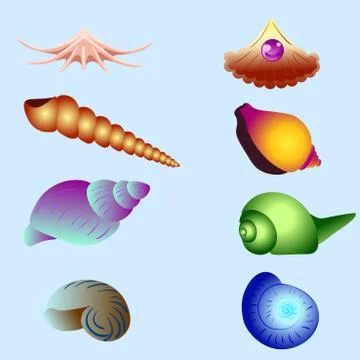 Vector set of sea shells isolated Stock Illustration