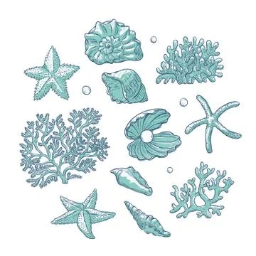 Vector set sea shells stars corals and pearls different shapes. Clamshells Stock Illustration