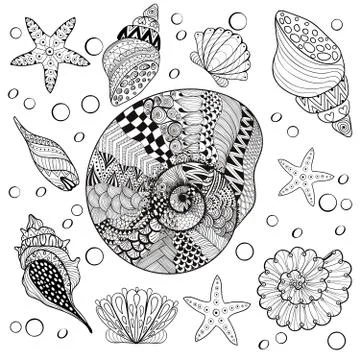 Vector set Sea Shells, zentangle shelsl for adult anti stress Co 스톡 일러스트