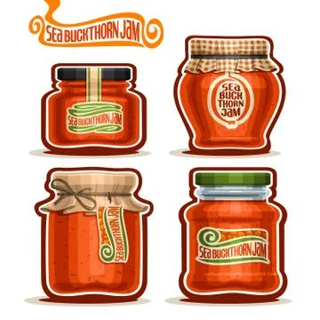 Vector set of Seabuckthorn Jam 스톡 일러스트